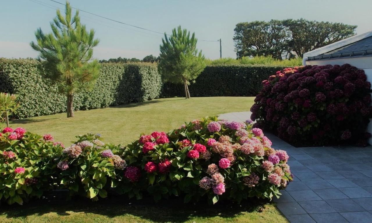 Maison Accueillante A Bangor Avec Jardin Clos Et Cheminee Екстер'єр фото